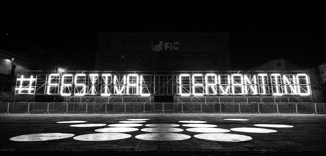 Start Grandios la Shakespeare Festival Craiova: O Zi Imersivă în Cultura Japoneză